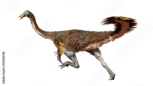 Fototapeta Naklejka Na Ścianę i Meble -  Gallimimus, feathered theropod dinosaur that lived during the Late Cretaceous period, isolated on white background