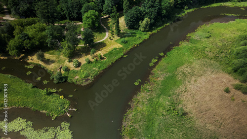 Yellow water lilies on the river in the city park. Aerial photography.