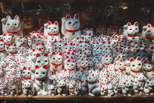 Photography Maneki neko Lucky cat in Gotokuji Temple Tokyo Japan
