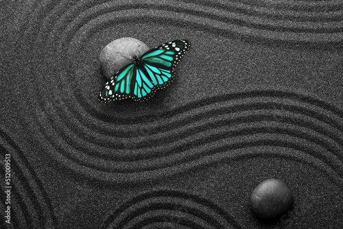 Canvas Print Beautiful butterfly and stones on black sand with pattern, flat lay