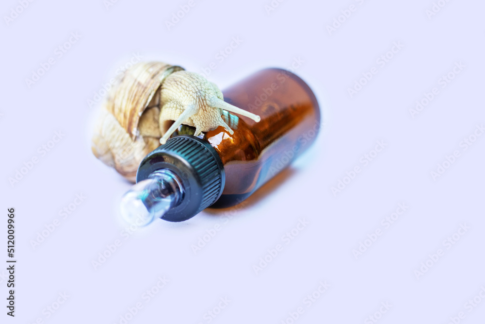 snail sliding on white jar with skin face cream,dark bottle with essential oil,for massage,facial yoga.anti aging,anti wrinkle,regenerating face cream based on snail mucin snail sliding on white jar with skin face cream,dark bottle with essential oil,for massage,facial yoga.anti aging,anti wrinkle,regenerating face cream based on snail mucin