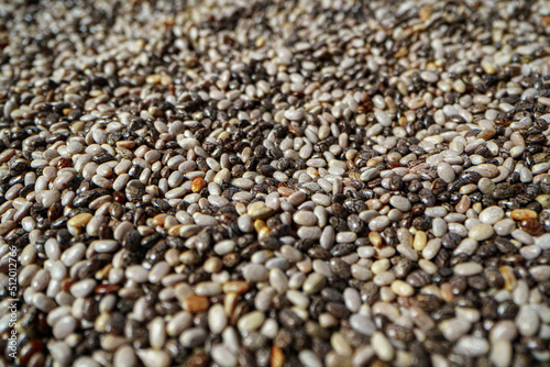 Close up macro shot of dried sesame seeds