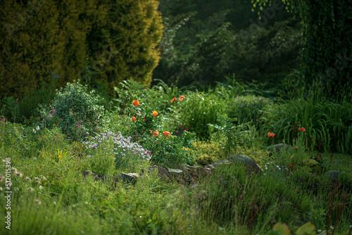 Rock Garden. Colorful and Carefree Landscape photo