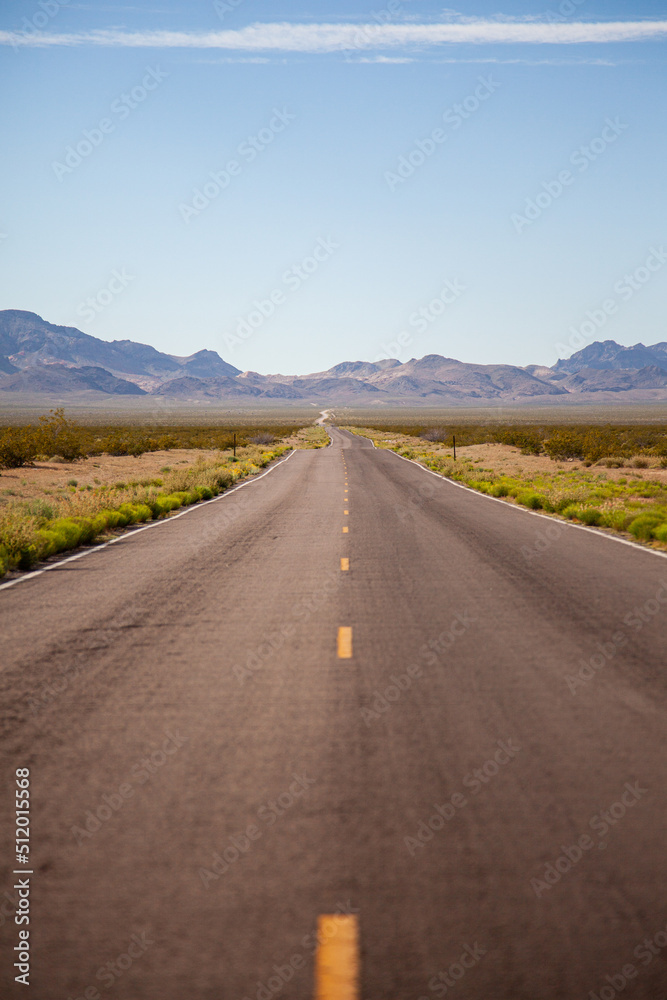 A long road off into the distance towards the horizon in the USA