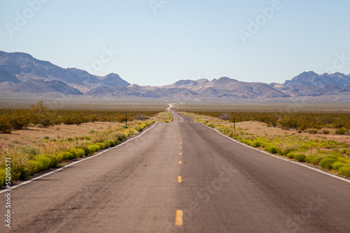 A long road off into the distance towards the horizon in the USA 