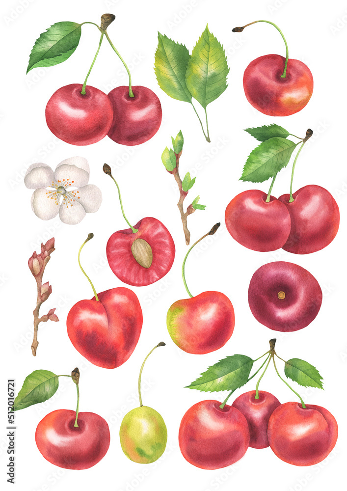 Watercolor Cherry set