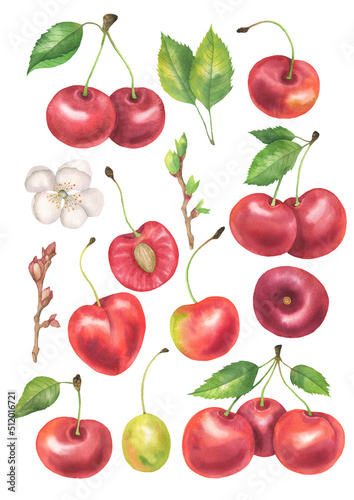 Watercolor Cherry set