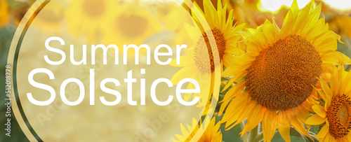 Konstfotografi Banner with beautiful sunflower field and text SUMMER SOLSTICE