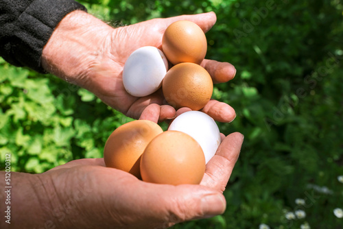 male hands hold chicken eggs, life on a poultry farm, selective focus