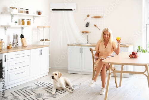 Mature woman and cute Labrador dog in kitchen with switched on air conditioner
