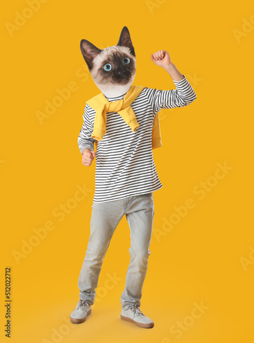 Dancing Thai cat with human...