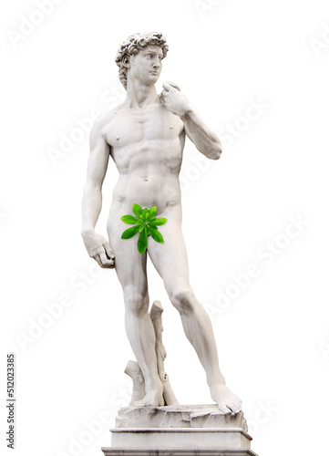 Censored concept. Michelangelo's David statue with green leaf