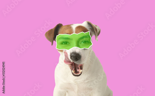 Cute Jack Russell Terrier on white background © Pixel-Shot