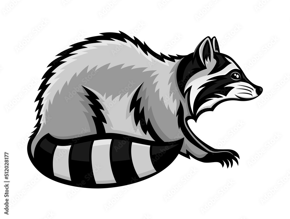 Animal raccoon icon isolated on white background.
