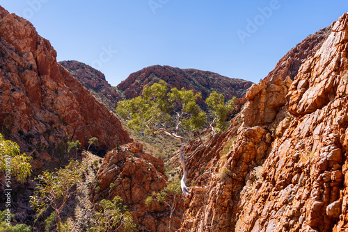View of the rugged terrain on the Larapinta Trail at Standley Chasm  Central Australia.