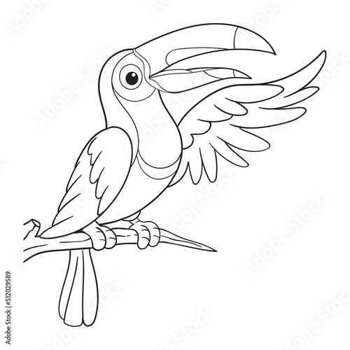 coloring pages or books for kids. cute toucan  cartoon illustration