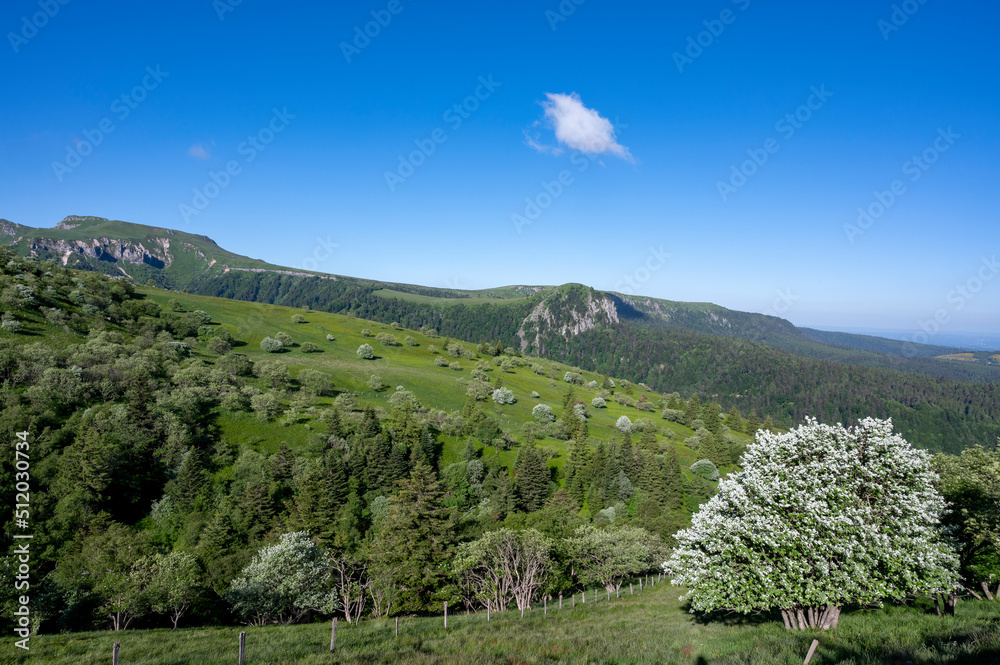 Paysage de printemps en Auvergne dans les Monts Dore et le massif du Sancy en France autour du col de La Croix Saint Robert