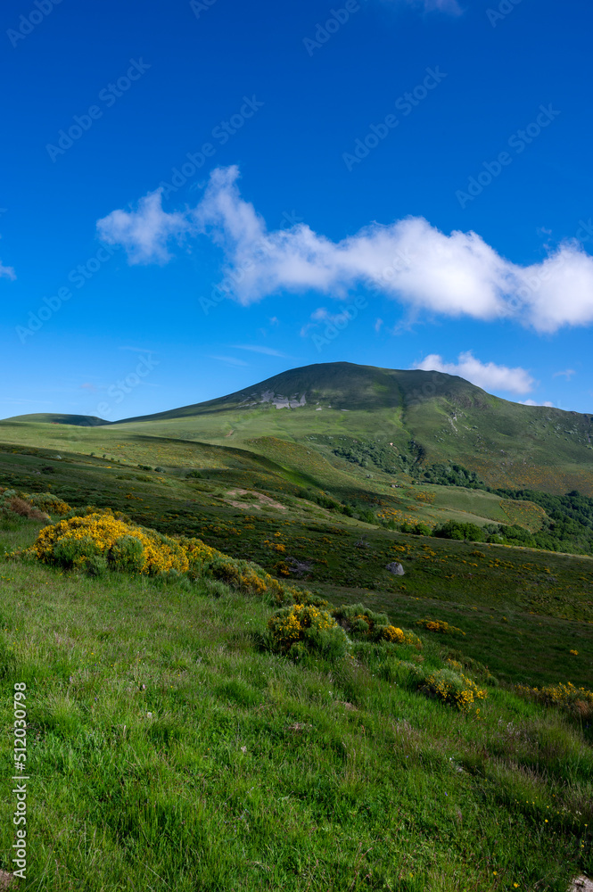 Fototapeta premium Paysage de printemps en Auvergne dans les Monts Dore et le massif du Sancy en France autour du col de La Croix Saint Robert