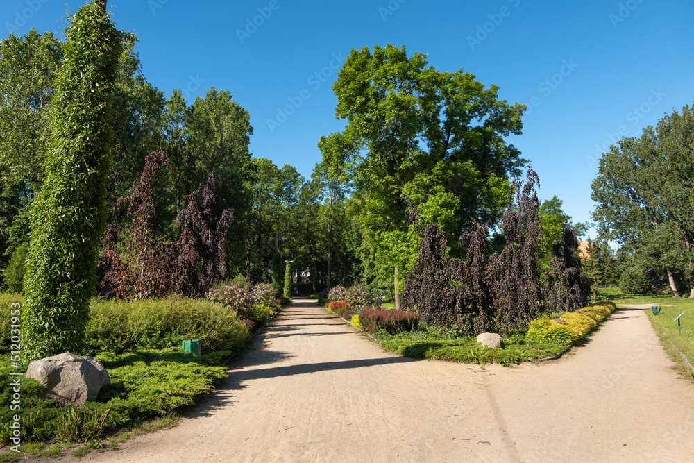 Park Marii Konopnickiej In Ciechanow, Poland