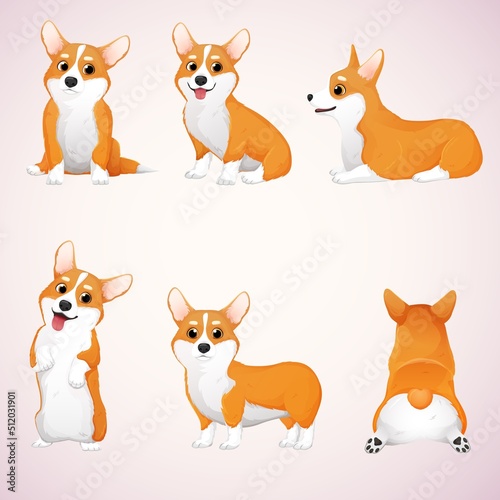 Vector set of corgis in different poses