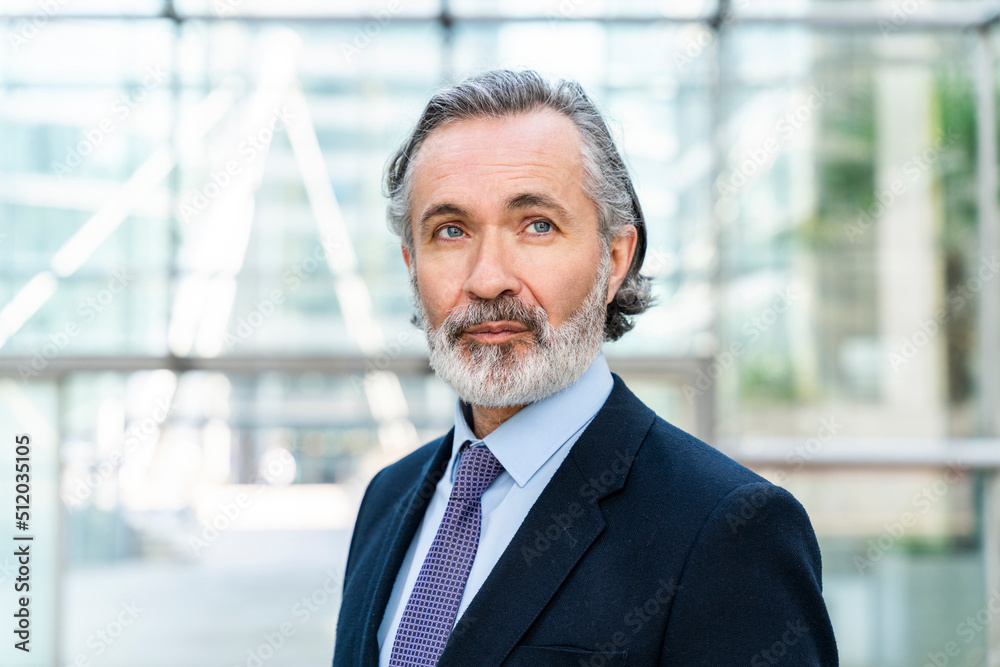 Mature businessman with gray hair and beard Mature businessman with gray hair and beard