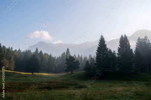 Forest meadow in Karwendel mountains at dawn photo