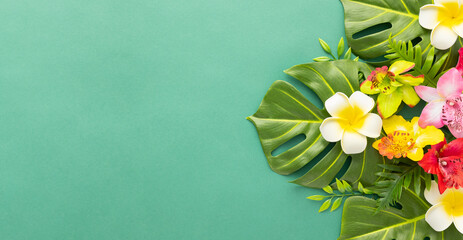Summer background with tropical orchid flowers and green tropical palm leaves on green background. Flat lay, top view. Summer party backdrop