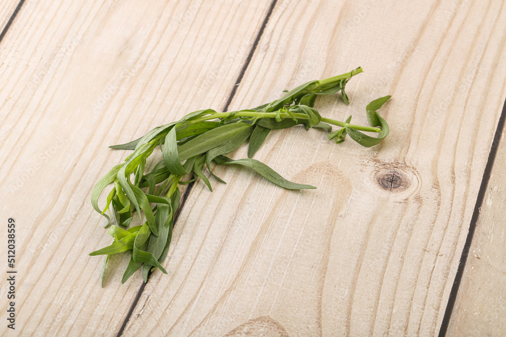 Green tarragon herb spice for cooking Green tarragon herb spice for cooking