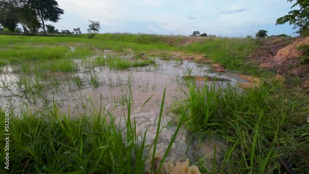 Irrigation of rice fields using pump wells with the technique of pumping water from the ground to flow into the rice fields On a day without rain Irrigation of rice fields using pump wells with the technique of pumping water from the ground to flow into the rice fields On a day without rain