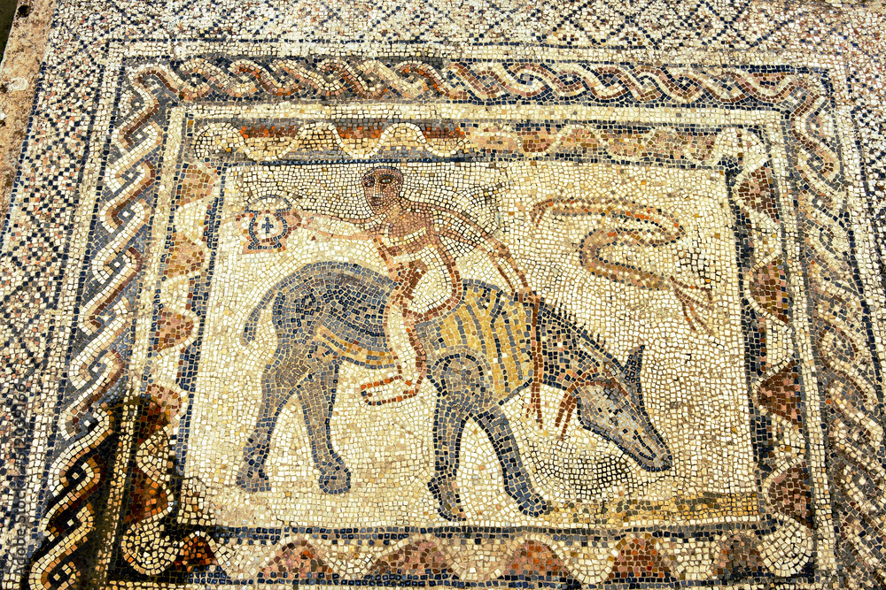 Mosaicos de la casa del Desultor, atleta sobre un caballo.Ciudad Romana de Volubilis(II d.c.), yacimiento arqueologico.Marruecos.