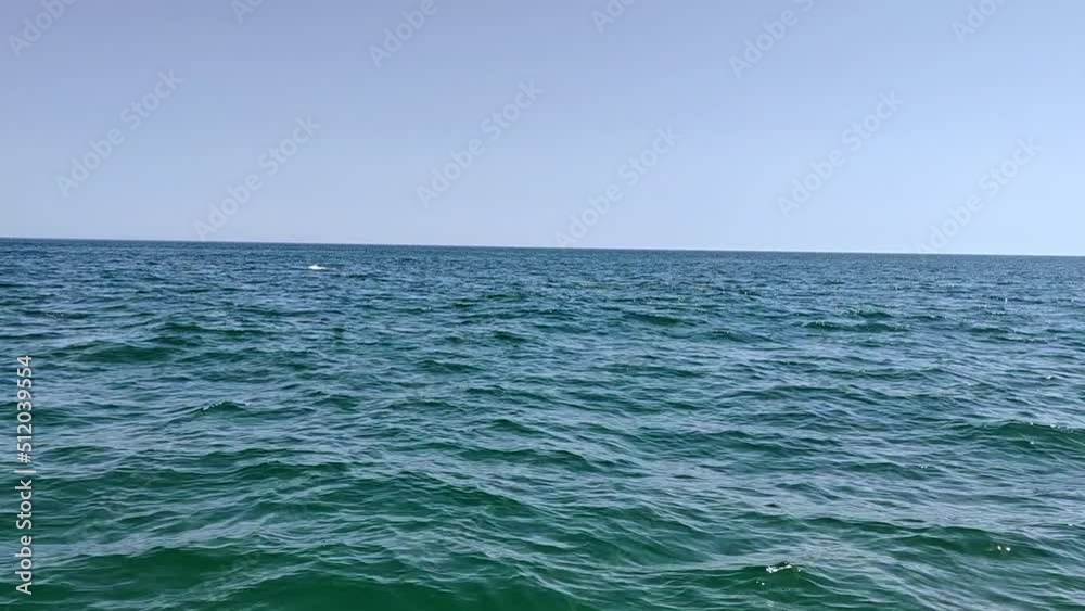 Wild Dolphins showing themselves on top of the ocean waves Wild Dolphins showing themselves on top of the ocean waves