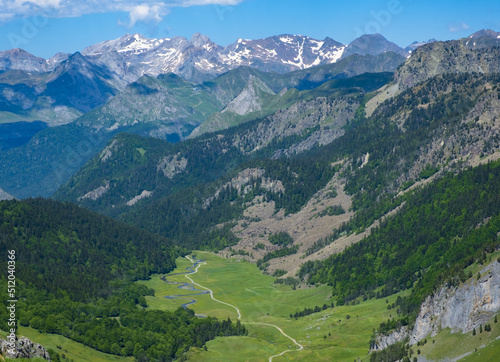 Path through the meadow in the National Park of the Pyrenees National Park  France