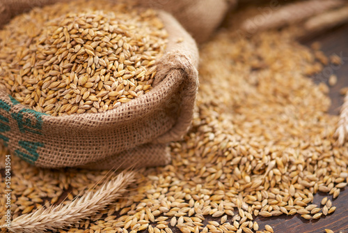 Slika na platnu barley grain on the wooden background