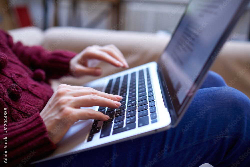 Fototapeta premium Beautiful woman relaxing at home with notebook