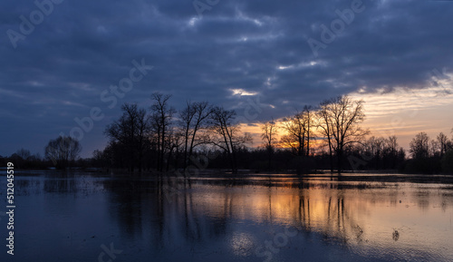 Dramatic evening landscape. The sunset sky is reflected in the water. Silhouettes of fabulous trees at sunset. The river overflowed its banks.