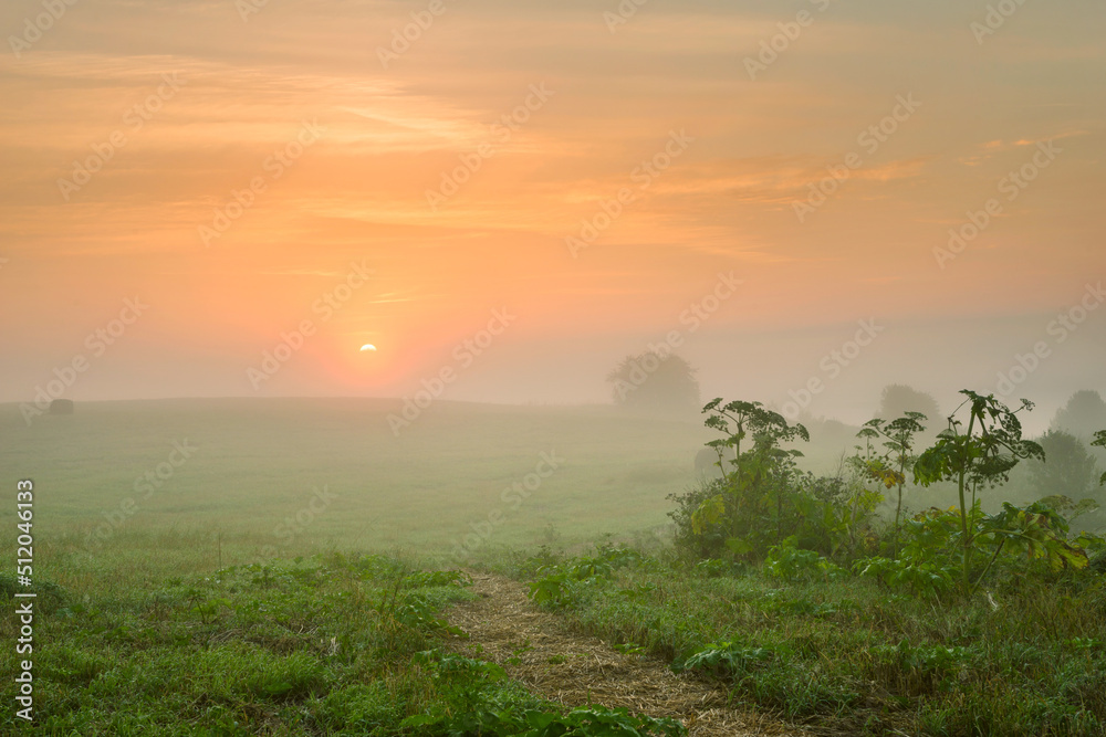 Serene landscape with a lake in the fog Serene landscape with a lake in the fog