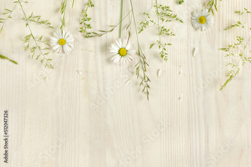 Light wood background with daisies and wild herbs. Flat lay with copy space. Selective focus in daylight