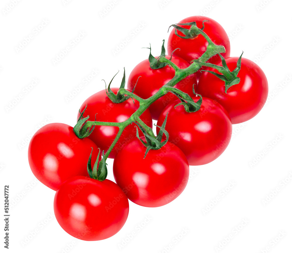 Tomato branch isolated on white background. Side view from above Tomato branch isolated on white background. Side view from above