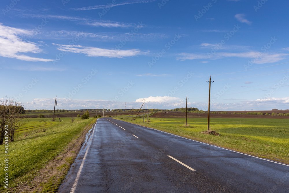 Highway through the field. Rural landscape with an asphalt road going beyond the horizon. Power poles along the highway.