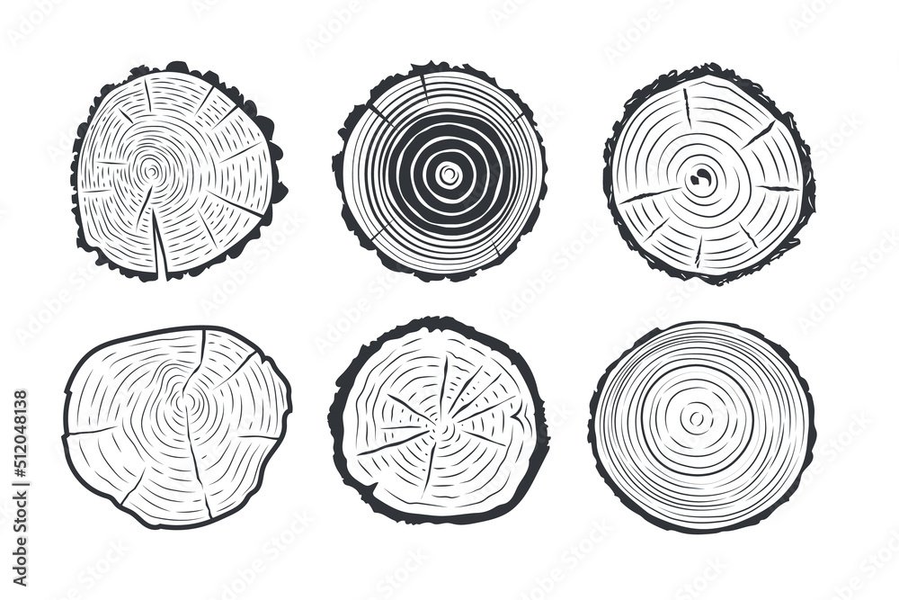 Tree trunks cross sections. Stock Illustration | Adobe Stock