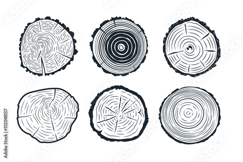 Tree trunks cross sections.