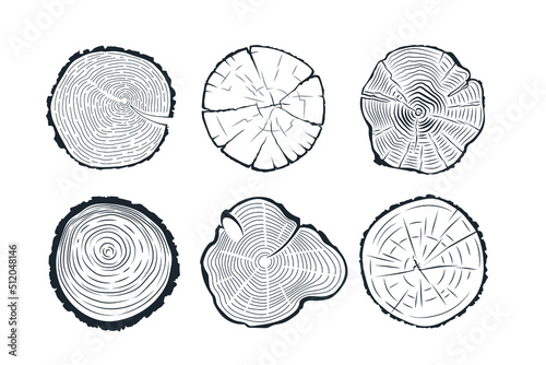 Tree trunk cross section.