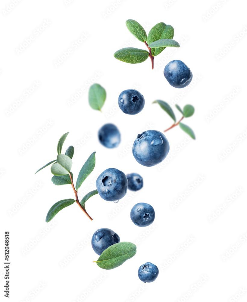 Wet blueberries with leaves in the air closeup on a white background Wet blueberries with leaves in the air closeup on a white background
