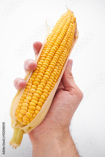 fresh corn on the white background