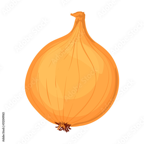 Vector Colorful Illustration of Onion isolated on white background