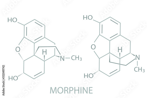Morphine molecular skeletal chemical formula. 
