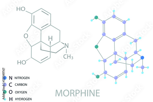 Morphine molecular skeletal 3D chemical formula. 