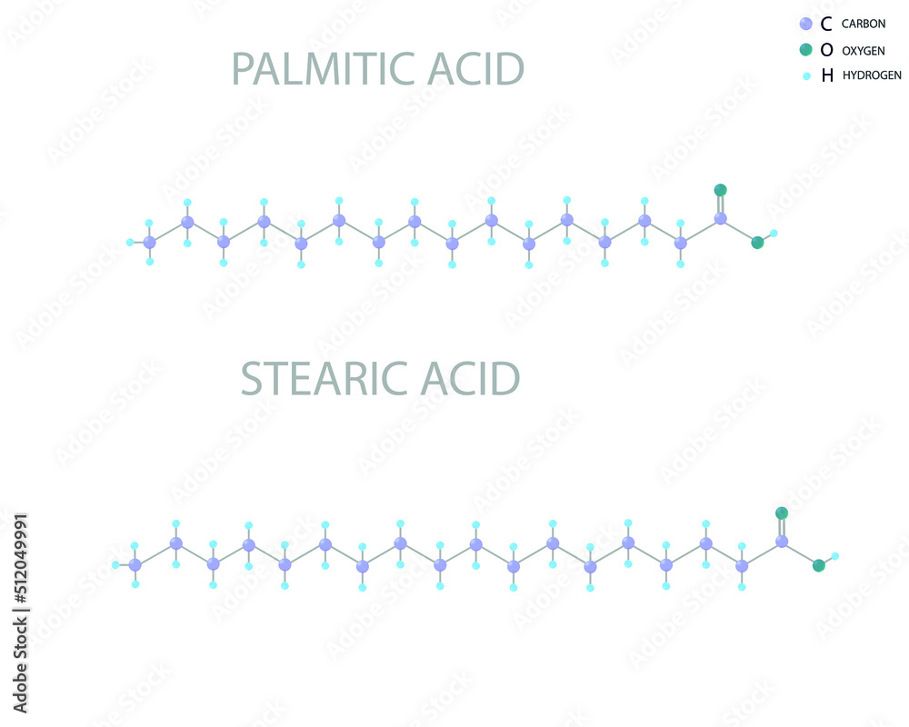 Palmitic acid or stearic acid molecular skeletal 3D chemical formula. Palmitic acid or stearic acid molecular skeletal 3D chemical formula.