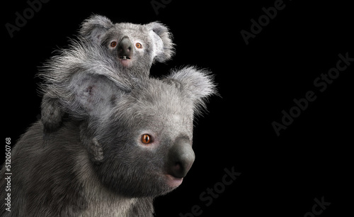 Fototapeta Naklejka Na Ścianę i Meble -  Koala bear with its baby on back
