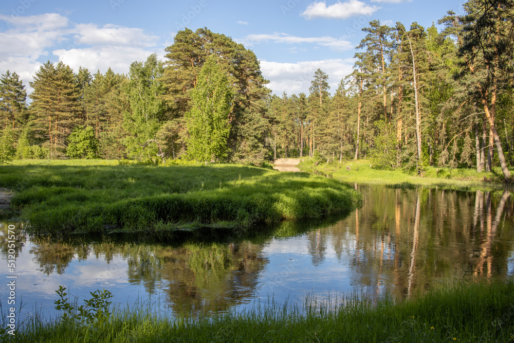 Bright sunny landscape near the river. The sun's rays illuminate the young greens.